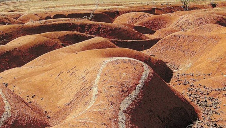 Projeto De Combate Desertifica O Destaque Na Alepi Assembleia