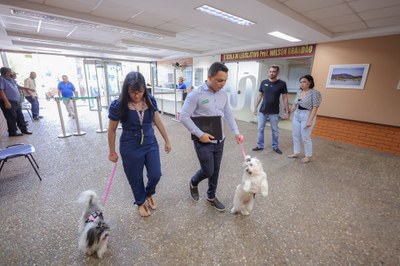 CÃO AFETIVO-3.JPG