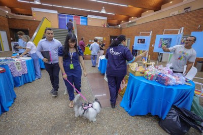 CÃO AFETIVO-8.JPG