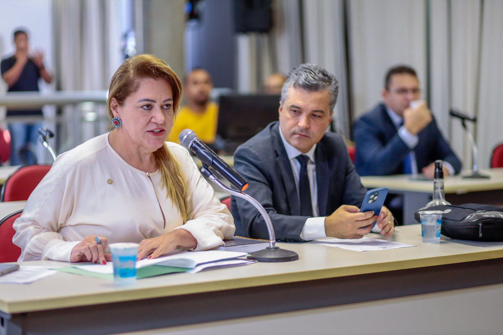 REUNIÃO CONJUNTA DAS COMISSÕES 05.07.2023-4.JPG