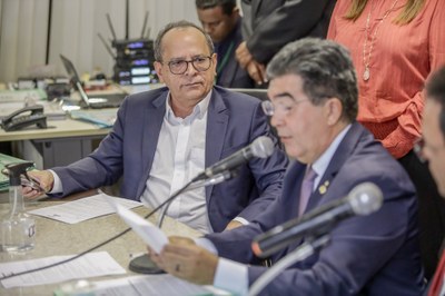 REUNIÃO CONJUNTA DAS COMISSÕES TÉCNICAS-11.JPG