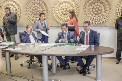 REUNIÃO CONJUNTA DAS COMISSÕES TÉCNICAS-6.JPG