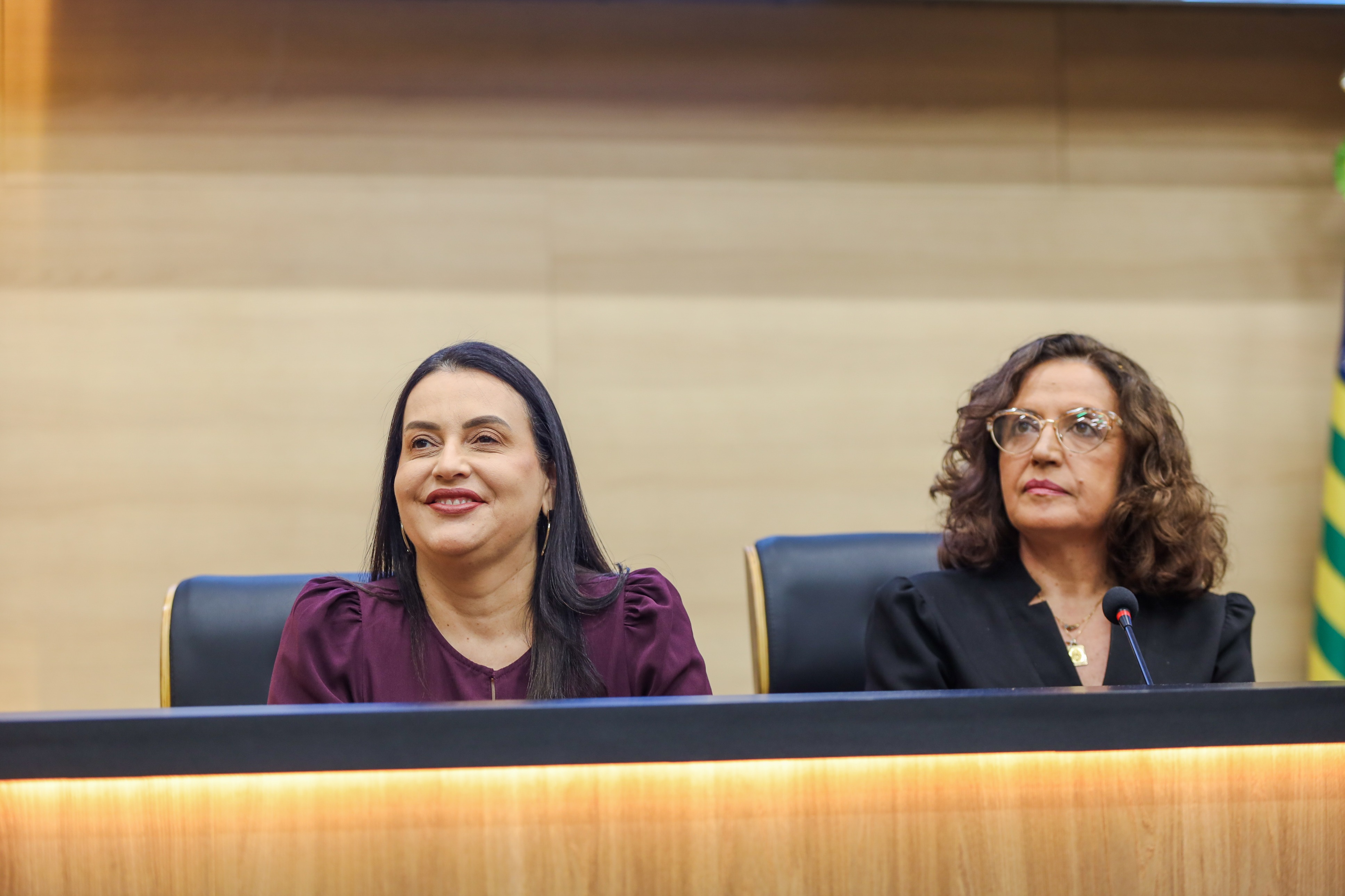 SESSÃO SOLENE DE ENTREGA DE TÍTULO DE CIDADANIA A DELEGADOS DA PCPI (2).jpeg