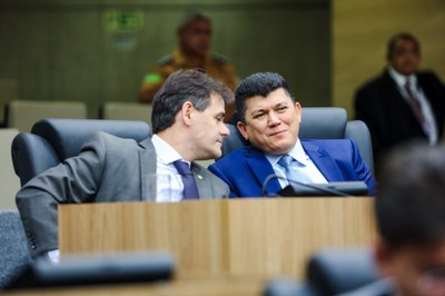 REUNIÃO DAS COMISSÕES CONJUNTAS E PLENÁRIO (1).jpeg