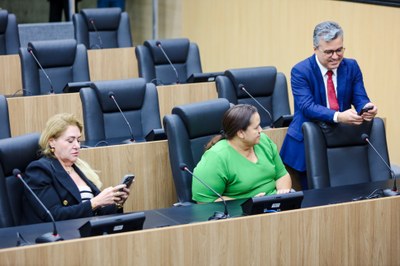 REUNIÃO DAS COMISSÕES CONJUNTAS E PLENÁRIO (15).jpeg