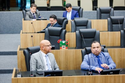 REUNIÃO DAS COMISSÕES CONJUNTAS E PLENÁRIO (17).jpeg