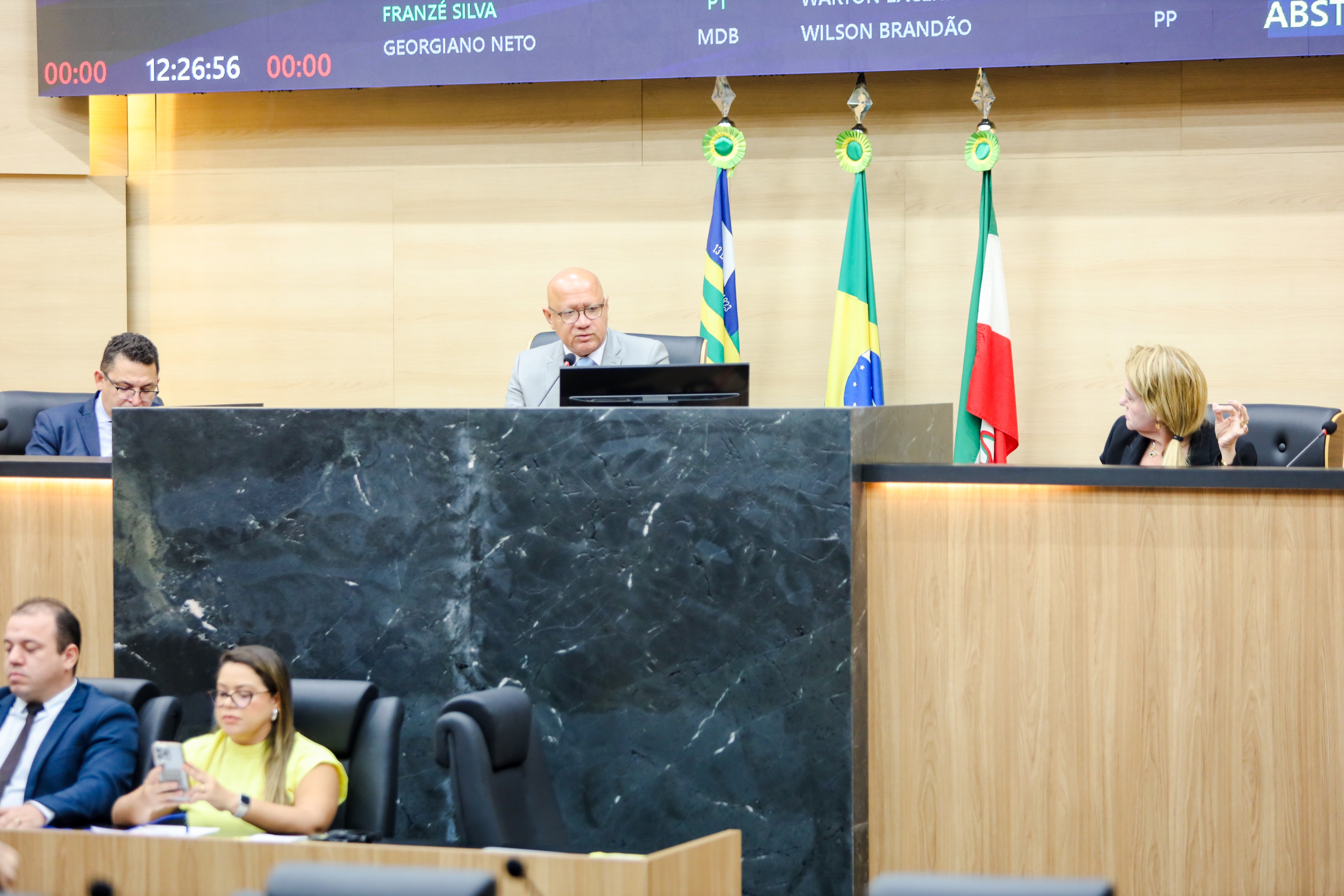 REUNIÃO DAS COMISSÕES CONJUNTAS E PLENÁRIO (19).jpeg