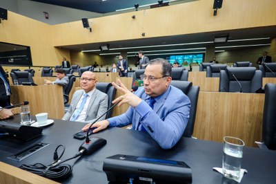 REUNIÃO DAS COMISSÕES CONJUNTAS E PLENÁRIO (4).jpeg