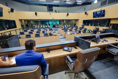 REUNIÃO DAS COMISSÕES CONJUNTAS E PLENÁRIO (5).jpeg