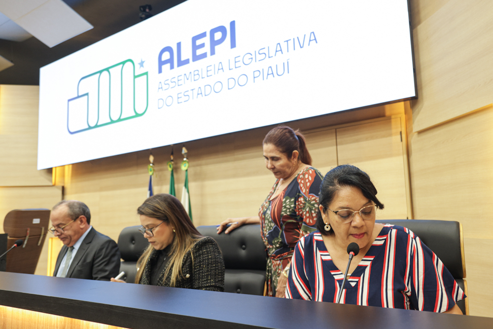 REUNIÃO DE COMISSÕES 05112024 (28).jpg