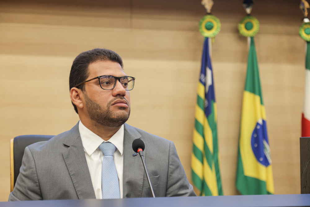 REUNIÃO DE COMISSÕES 05112024 (36).jpg