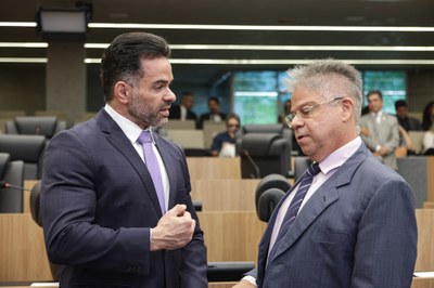 REUNIÃO DE COMISSÕES 05112024 (41).jpg