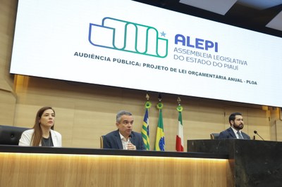 AUDIÊNCIA PUBLICA PROJETO DE LEI ORÇAMENTÁRIA  ANUAL PLOA 12112024 (10).jpg