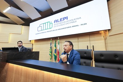 AUDIÊNCIA PUBLICA PROJETO DE LEI ORÇAMENTÁRIA  ANUAL PLOA 12112024 (55).jpg