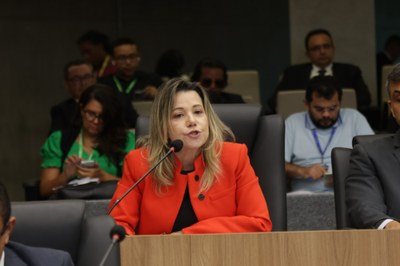 AUDIÊNCIA PUBLICA PROJETO DE LEI ORÇAMENTÁRIA  ANUAL PLOA 12112024 (65).jpg