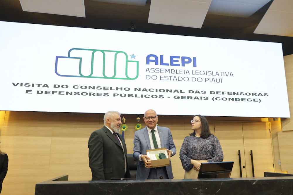 VISITA DO CONSELHO NACIONAL DAS DEFENSORAS E DEFENSORES PÚBLICOS GERAIS CONDEGE (43).jpg