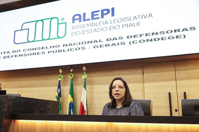 VISITA DO CONSELHO NACIONAL DAS DEFENSORAS E DEFENSORES PÚBLICOS GERAIS CONDEGE.jpg