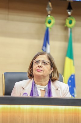 Apresentação dos resultados do Pacto de Enfrentamento à Violência Contra as Mulheres do Piauí 11.09.2024-27.JPG