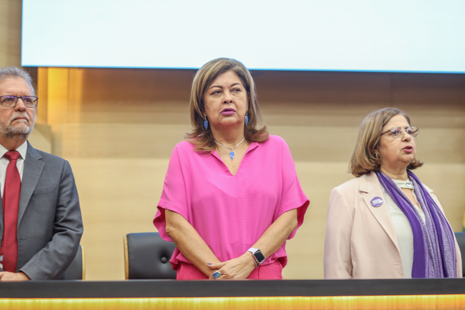 Apresentação dos resultados do Pacto de Enfrentamento à Violência Contra as Mulheres do Piauí 11.09.2024-3.JPG