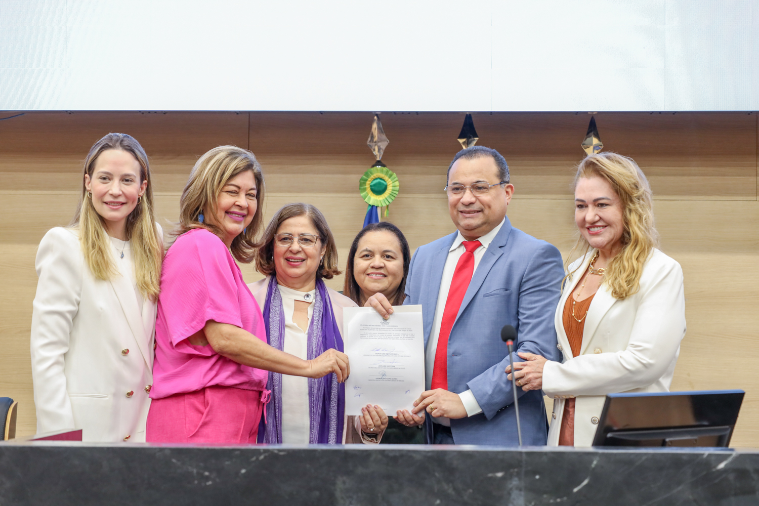 Apresentação dos resultados do Pacto de Enfrentamento à Violência Contra as Mulheres do Piauí 11.09.2024-30.JPG