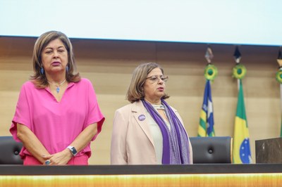 Apresentação dos resultados do Pacto de Enfrentamento à Violência Contra as Mulheres do Piauí 11.09.2024-4.JPG