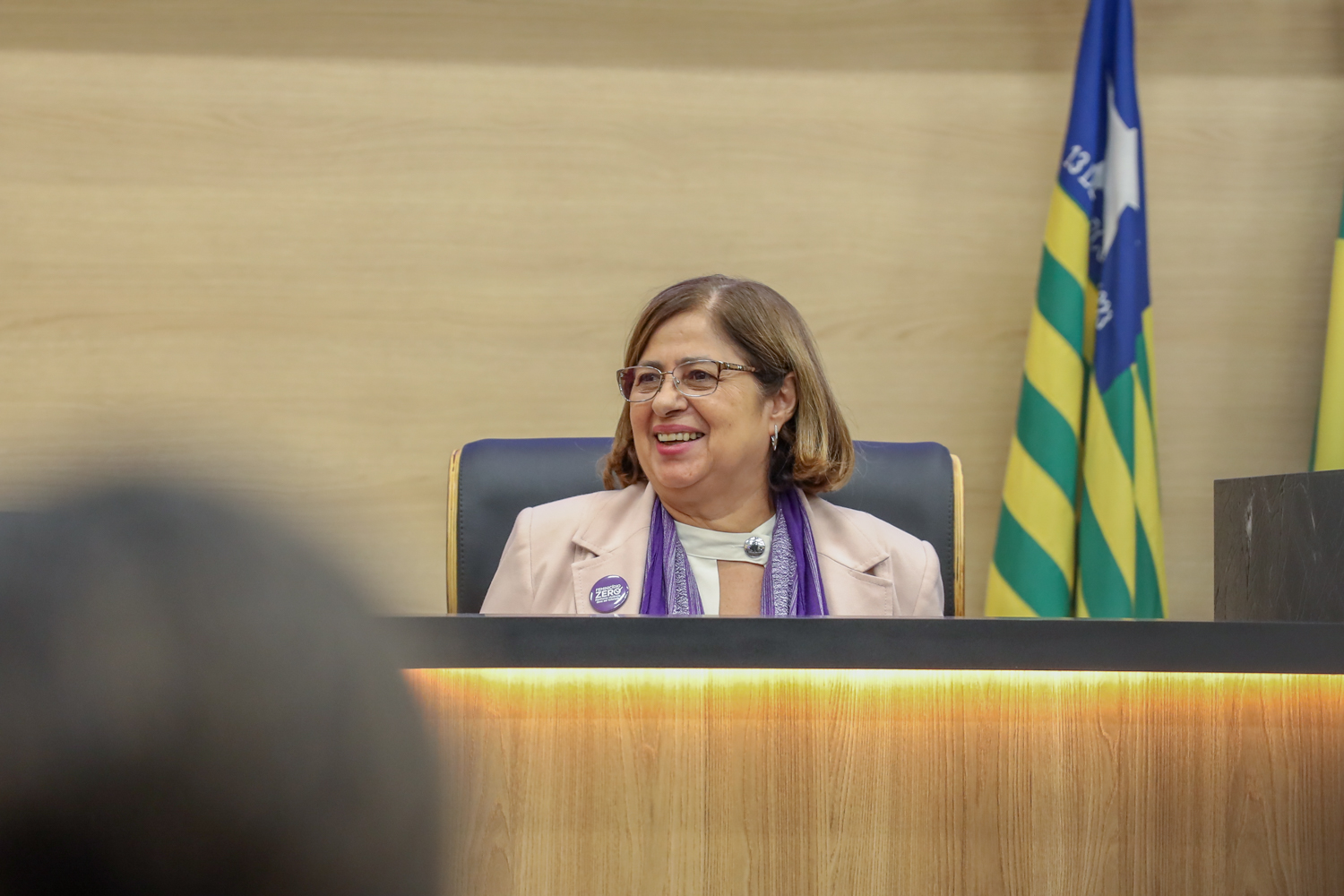 Apresentação dos resultados do Pacto de Enfrentamento à Violência Contra as Mulheres do Piauí 11.09.2024-41.JPG