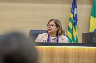 Apresentação dos resultados do Pacto de Enfrentamento à Violência Contra as Mulheres do Piauí 11.09.2024-42.JPG