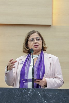 Apresentação dos resultados do Pacto de Enfrentamento à Violência Contra as Mulheres do Piauí 11.09.2024-43.JPG