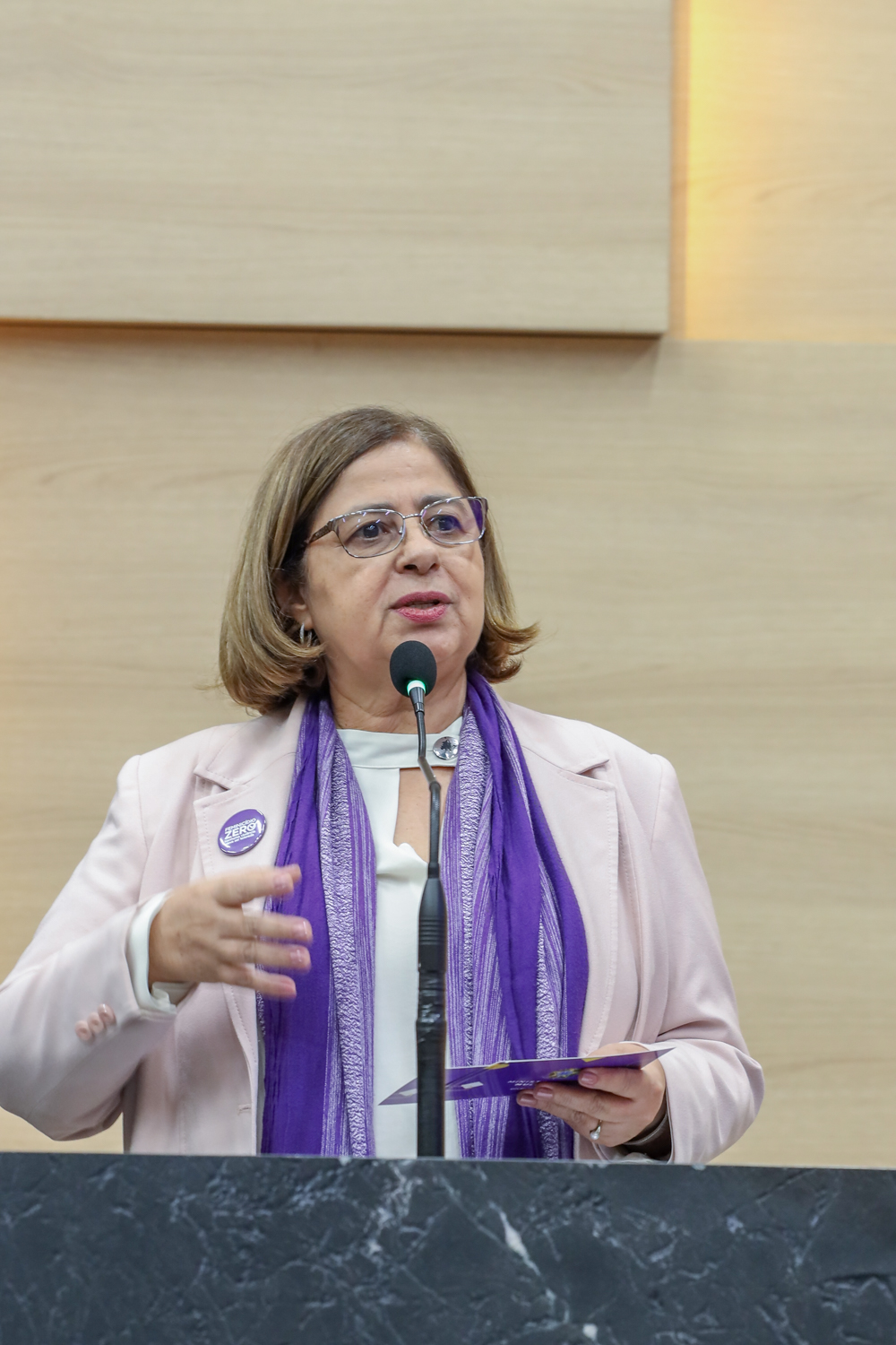 Apresentação dos resultados do Pacto de Enfrentamento à Violência Contra as Mulheres do Piauí 11.09.2024-44.JPG