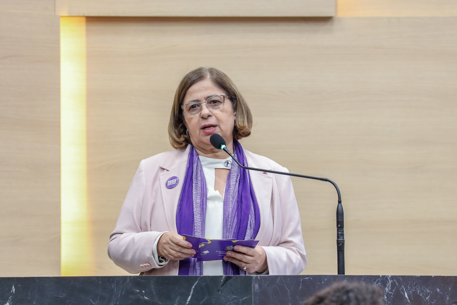 Apresentação dos resultados do Pacto de Enfrentamento à Violência Contra as Mulheres do Piauí 11.09.2024-45.JPG