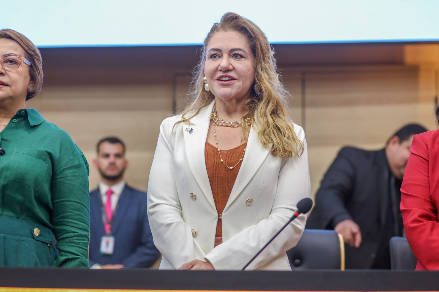 Apresentação dos resultados do Pacto de Enfrentamento à Violência Contra as Mulheres do Piauí 11.09.2024-7.JPG