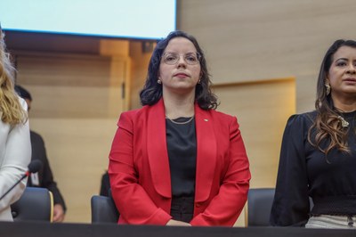 Apresentação dos resultados do Pacto de Enfrentamento à Violência Contra as Mulheres do Piauí 11.09.2024-8.JPG