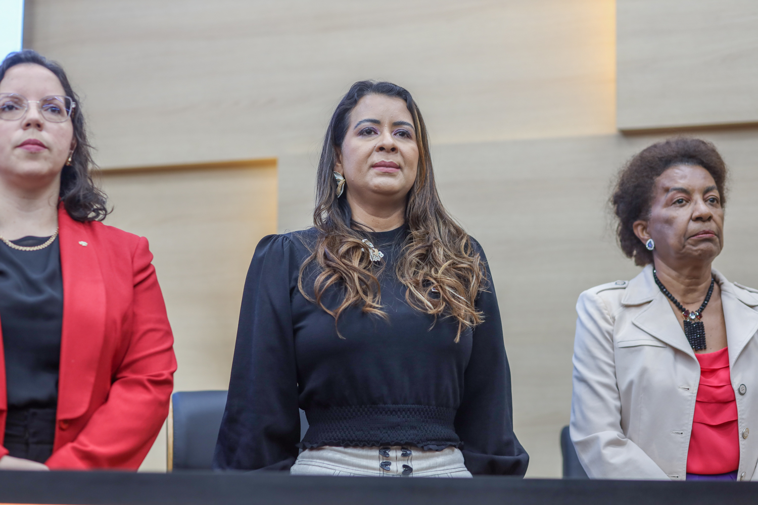 Apresentação dos resultados do Pacto de Enfrentamento à Violência Contra as Mulheres do Piauí 11.09.2024-9.JPG