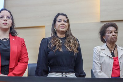 Apresentação dos resultados do Pacto de Enfrentamento à Violência Contra as Mulheres do Piauí 11.09.2024-9.JPG