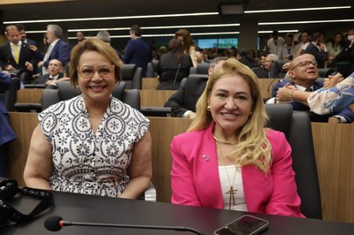 POSSE DA NOVA DIRETORIA DA ALEPI BIENIO 2025-2026 (27).jpg