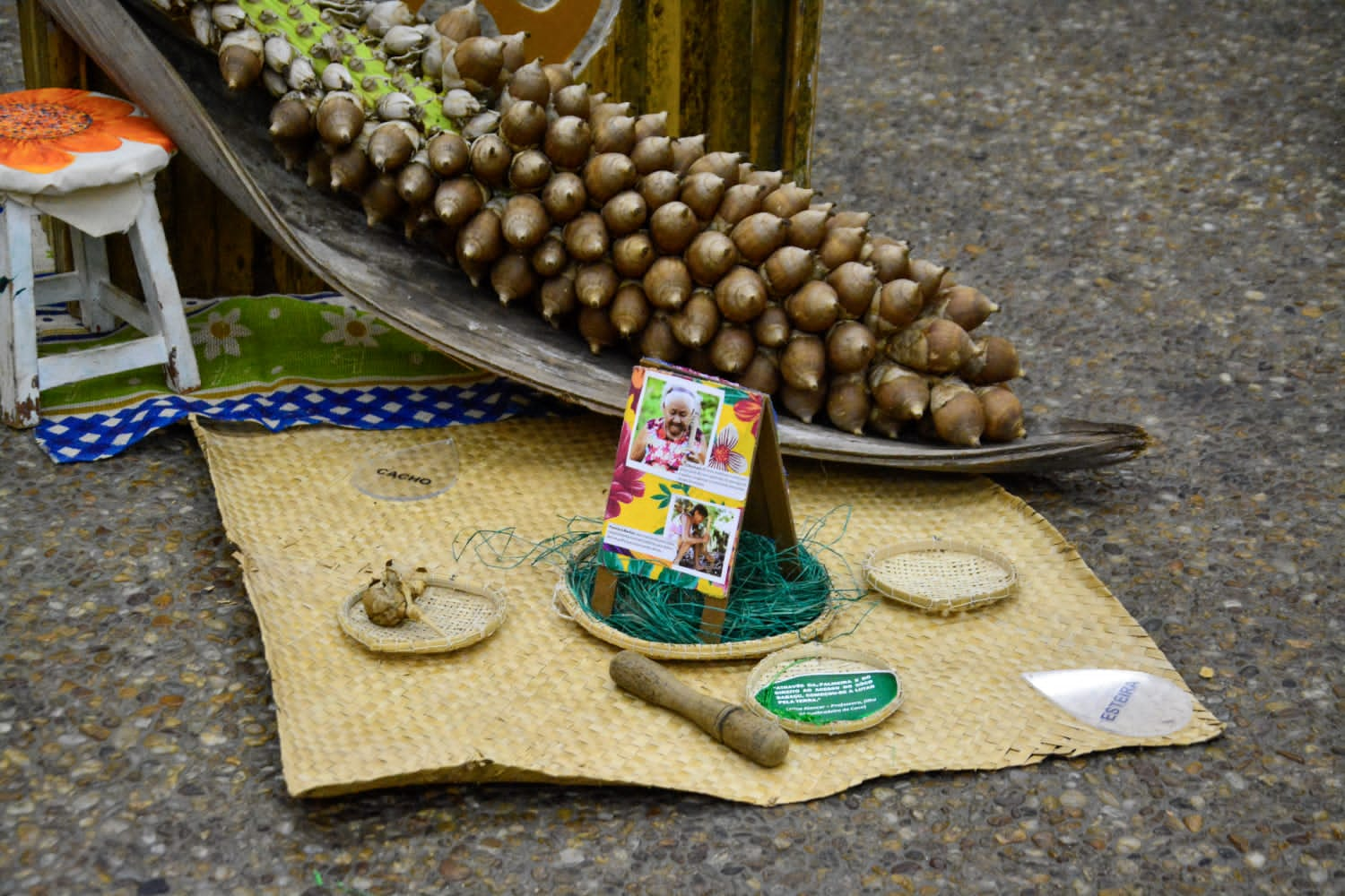 Alepi recebe exposição em alusão ao Dia Estadual das Quebradeiras de Coco Babaçu do Piauí