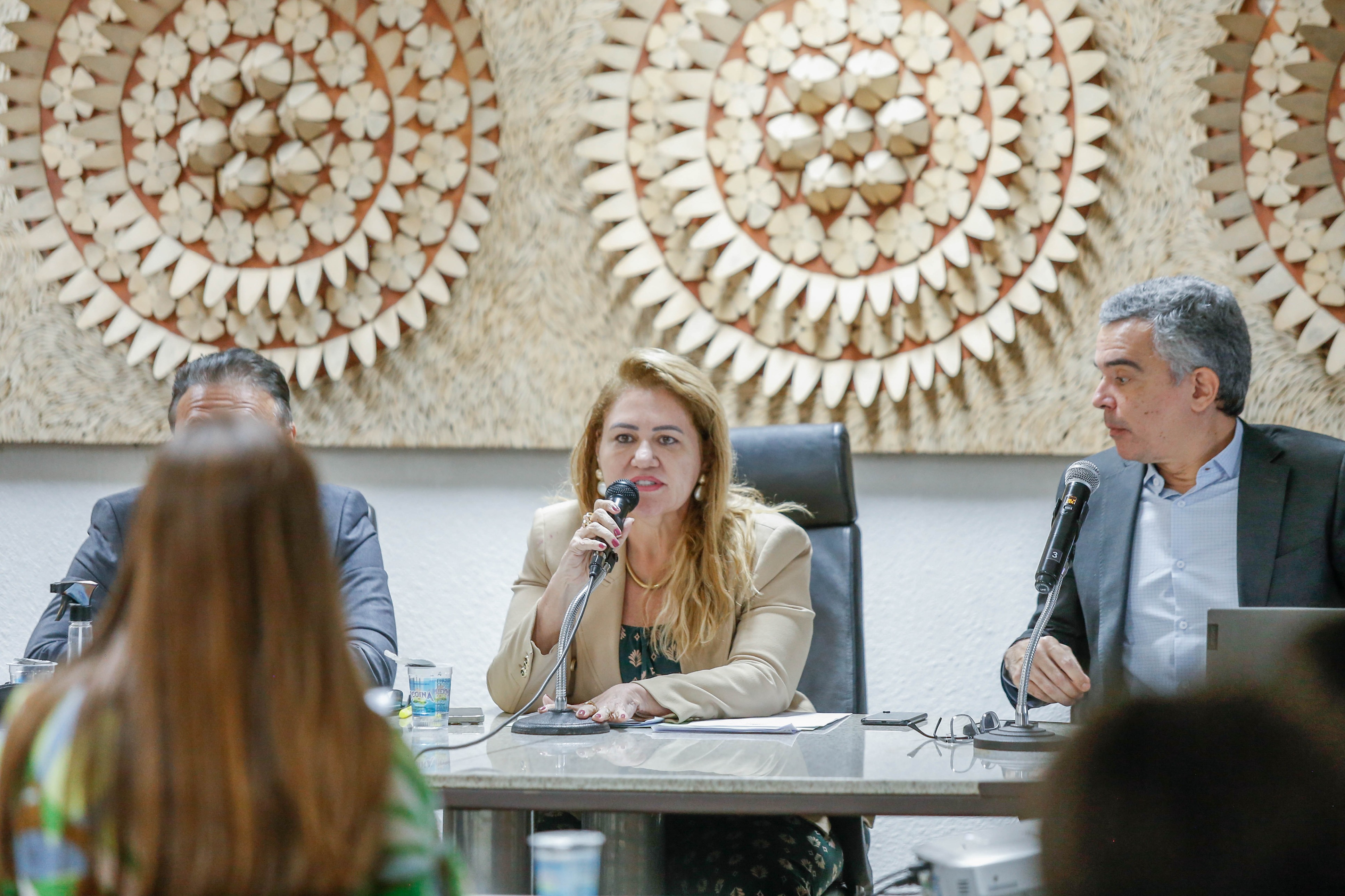 Debate sobre melhorias na Uespi é feito na audiência pública do PPA    