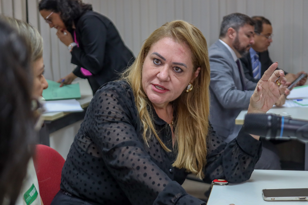 Deputadas dialogam com manifestantes sobre projeto que protege idosos de bancos