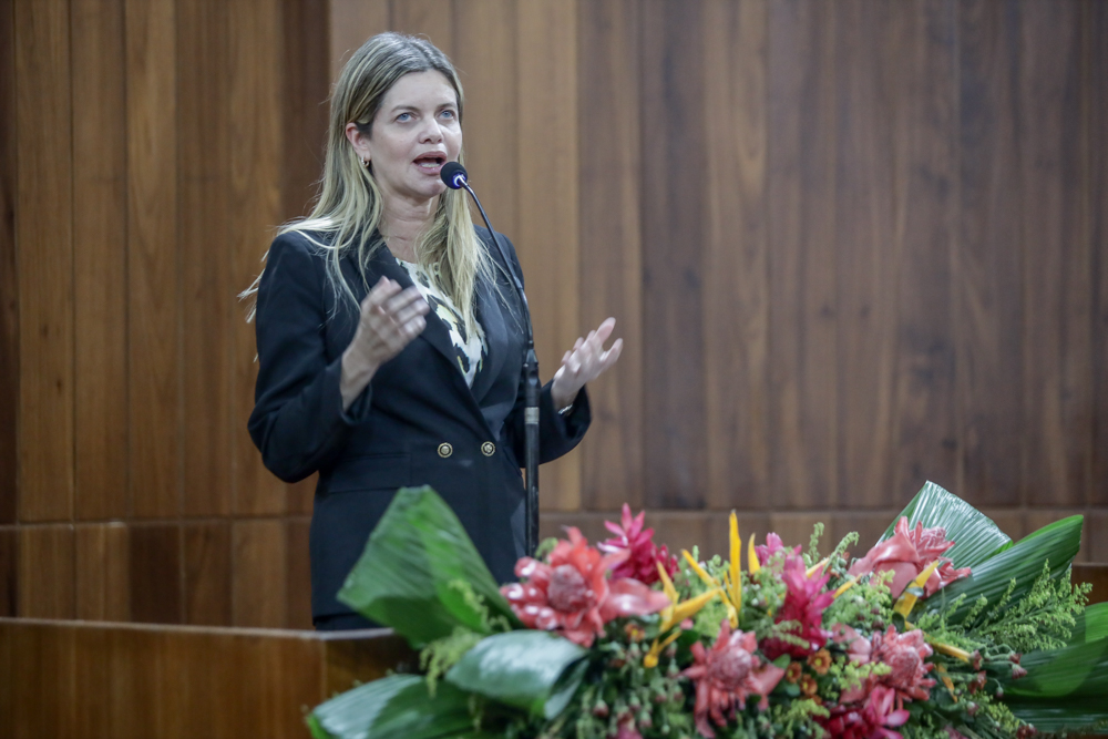 Deputados aprovam requerimentos sobre políticas públicas para mulheres