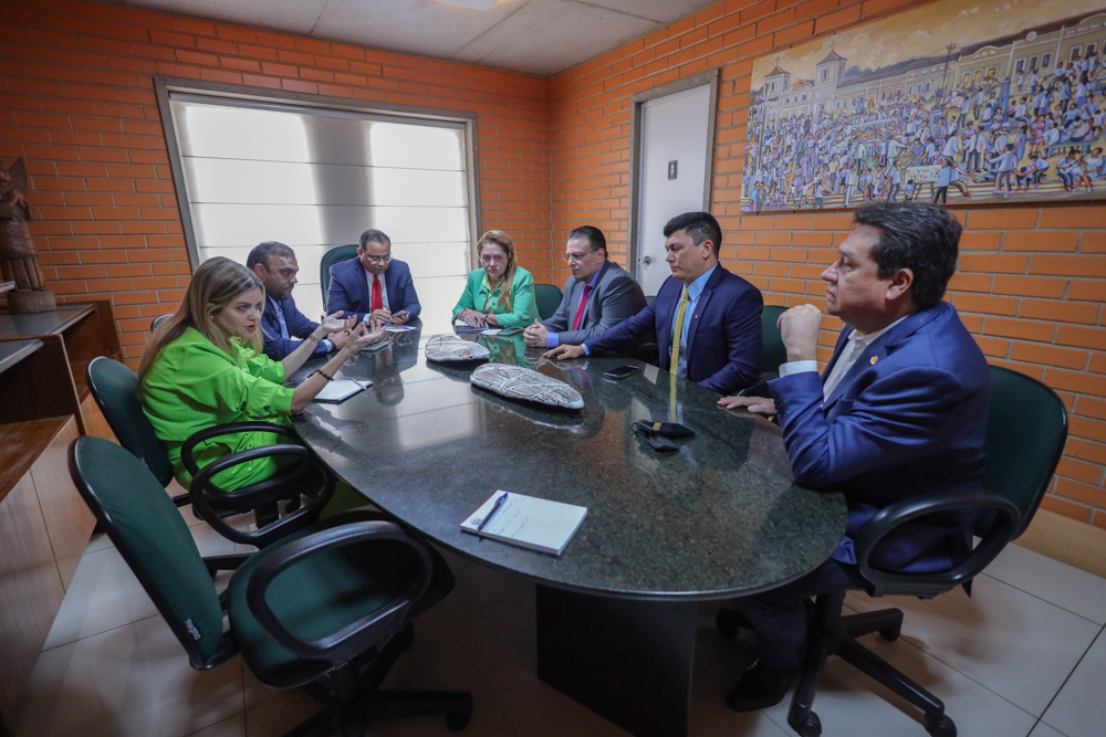 Nerinho é escolhido relator da CPI da Equatorial