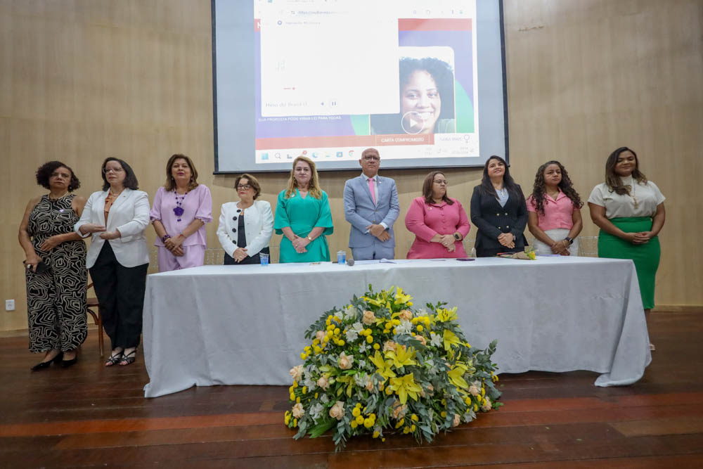 Piauienses já podem cadastrar proposições de lei sobre direitos das mulheres em plataforma