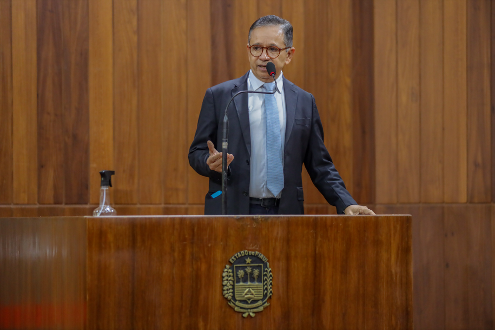 Programa de Controle Populacional de Cães e Gatos de rua foi aprovado na Alepi