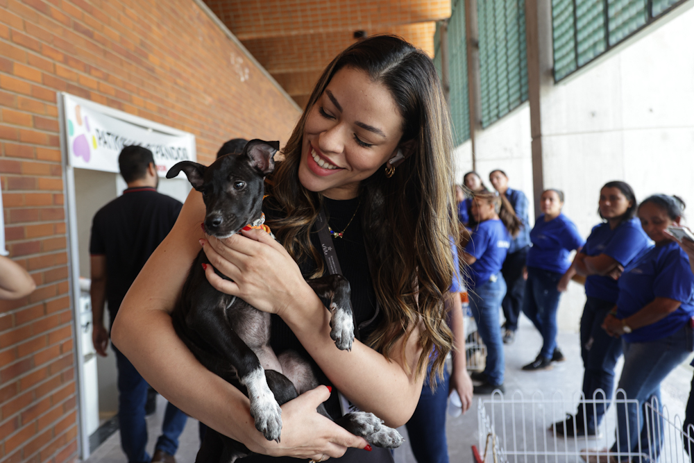 Servidores da Alepi adotam cães em ação conjunta com ONG