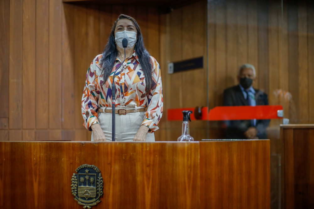  Teresa Britto apresenta requerimentos solicitando melhorias para Teresina e Cajueiro da Praia