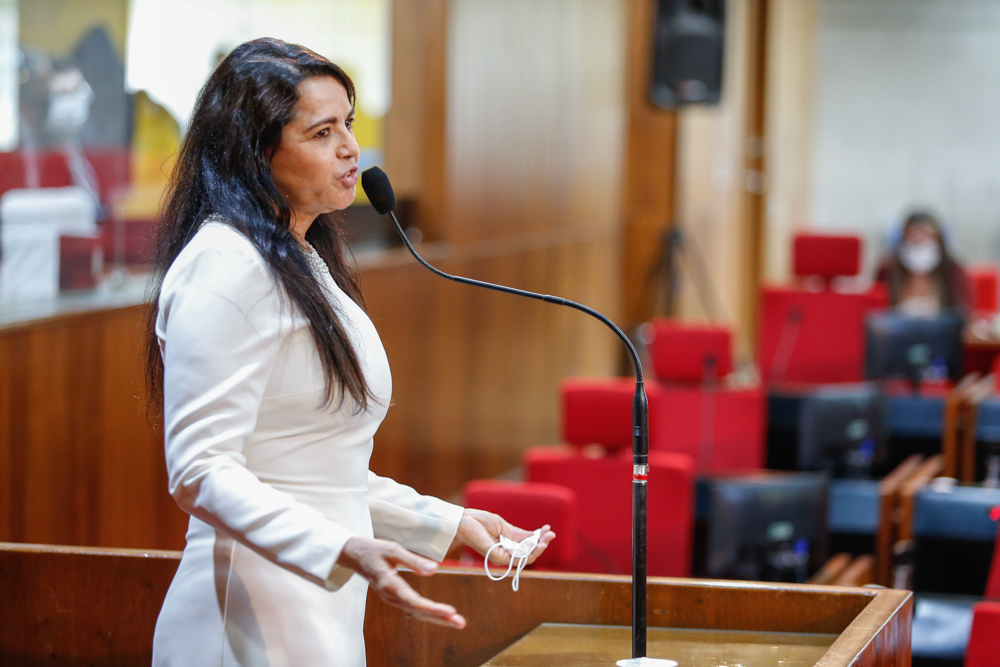  Teresa Britto critica proposta do governo de criar PPP na saúde