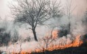 Atenção, Piauí: cinco cuidados essenciais com a saúde durante o período de queimadas