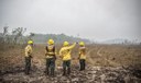 Dino estabelece orçamento de emergência para combate a incêndios