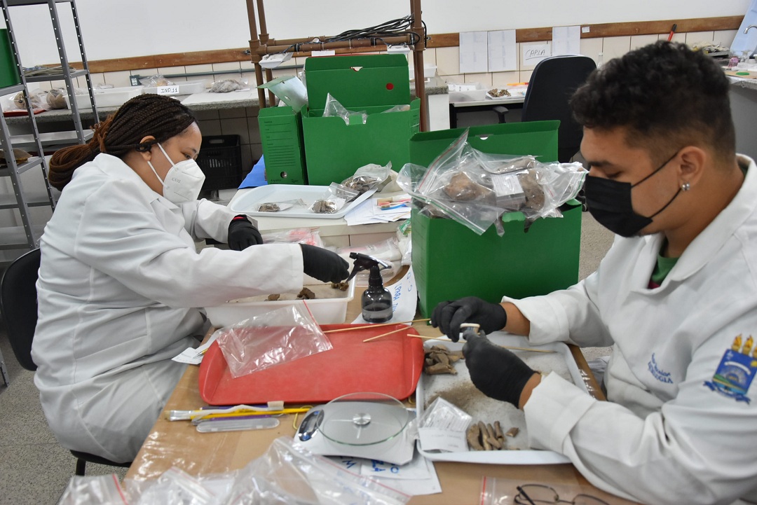 Laboratório de Osteoarqueologia da UFPI abriga a maior coleção de ossos arqueológicos do Nordeste