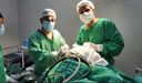 Linha do Trauma faz aumentar número de cirurgias ortopédicas
