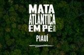 MP-PI participa da Operação “Mata Atlântica em Pé”